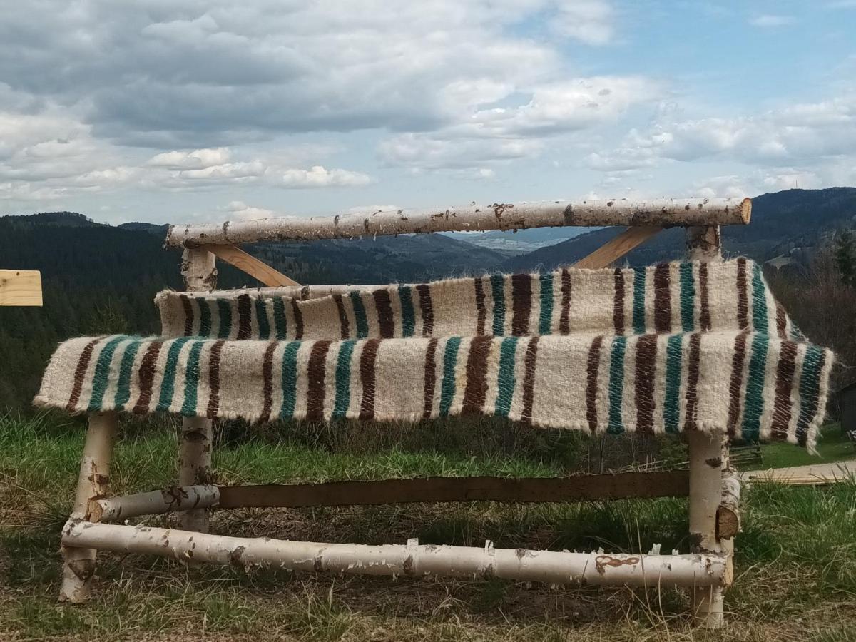 Pensiunea Agroturistica Acvila Apusenilor Vadu Motilor 外观 照片